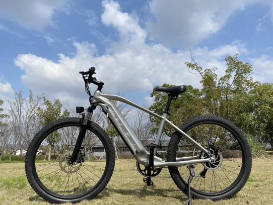 2021 Neues Design Step Through Fat Tire Elektrofahrrad 5 % Rabatt