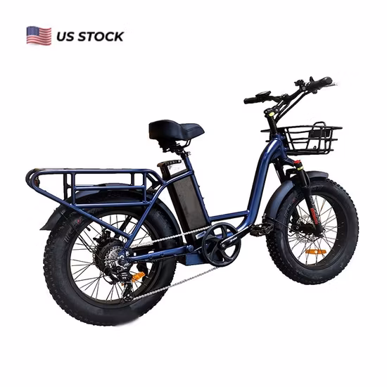 Neues 20-Zoll-Fat-Tire-Cargo-City-Elektrofahrrad 5 % Rabatt