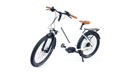 26 Zoll Damen beliebtes Elektrofahrrad 6061 Aluminiumlegierungsrahmen Utility-Straßenfahrrad Vinka 36V 250W MID Drive Set Motor Ebike