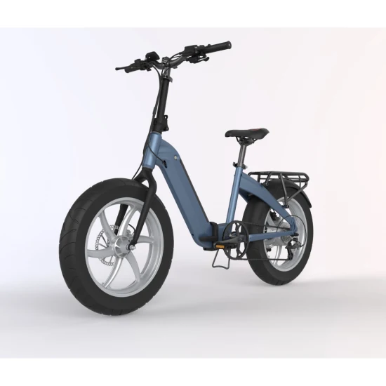 Neues 20-Zoll-Fat-Tire-Cargo-City-Elektrofahrrad 5 % Rabatt