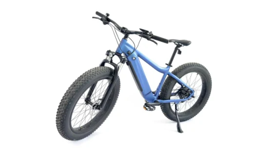 26 Zoll Fat Tire Elektrofahrrad PAS Assistant Bike Lithiumbatterie 48V13ah, 624wh männliches Mountainbike