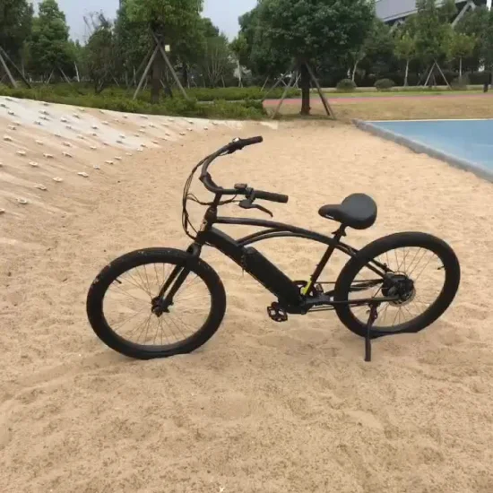 Beach Bruiser 48V Sand Beach Elektrofahrrad